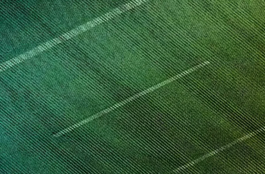 Lane markings are read directly from the scan, allowing extraction of a clean 3D spline.